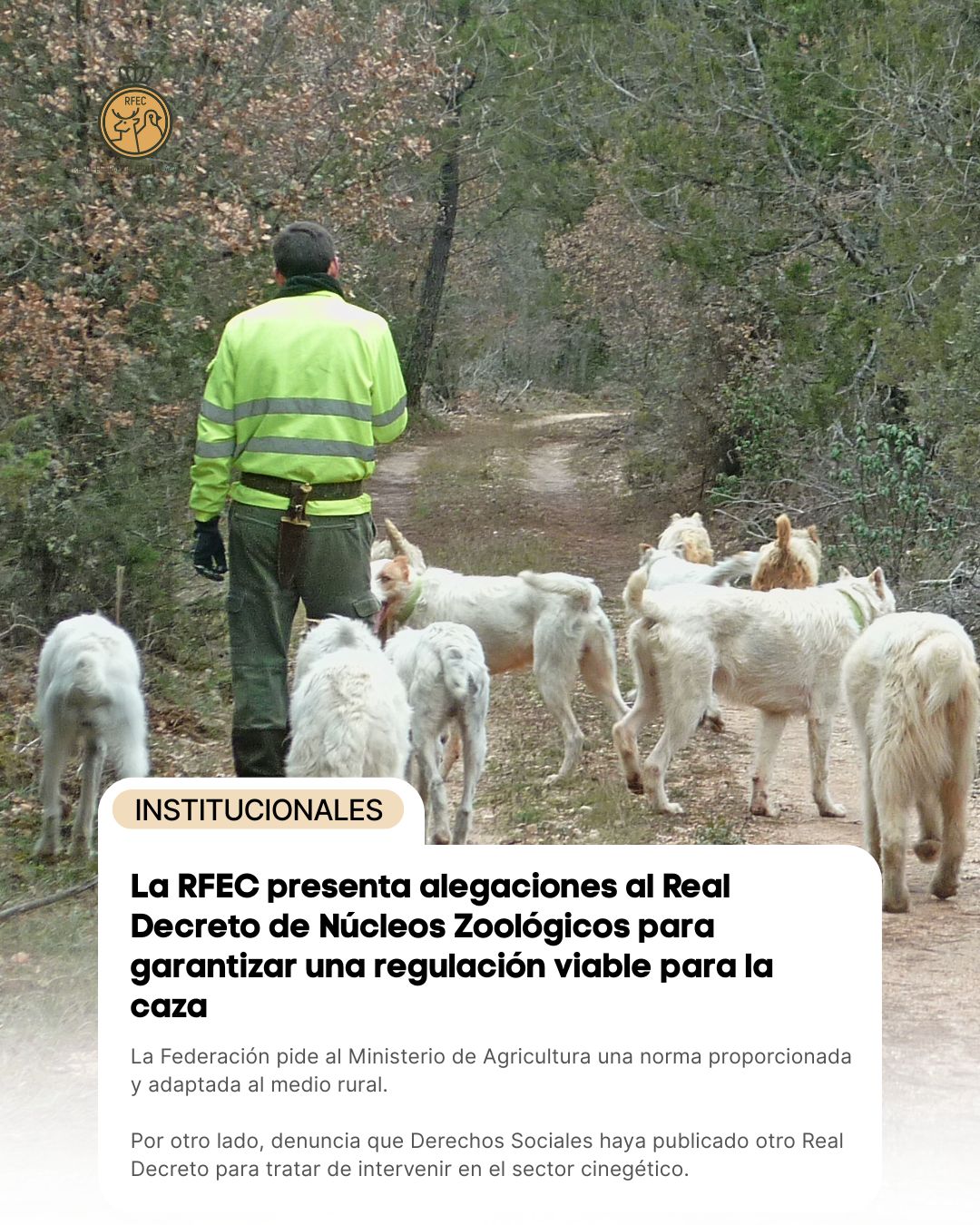 La RFEC presenta alegaciones al Real Decreto de N&uacute;cleos Zool&oacute;gicos para garantizar una regulaci&oacute;n viable para la caza
